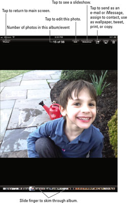 With an individual photo on the screen, tap the picture to open the picture controls at the top and bottom of the screen.