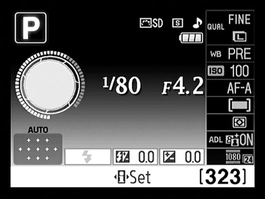 The Shooting Info display in a Nikon D3100 camera.