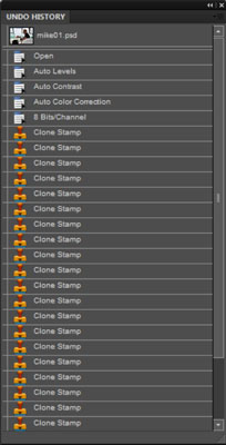 The Undo History panel.