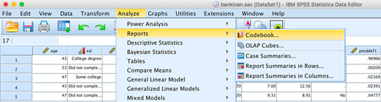 SPSS Statistics Analyze menu