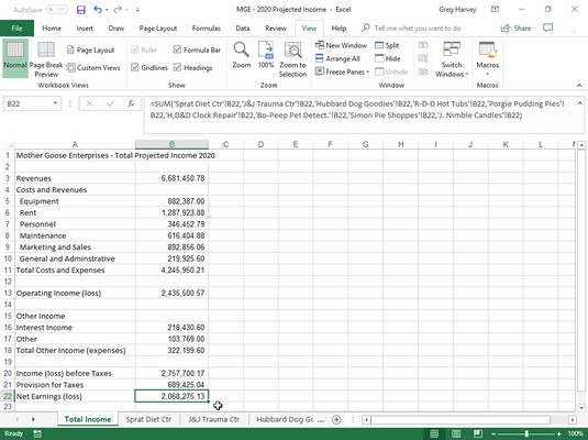 Total Income worksheet after SUM formula