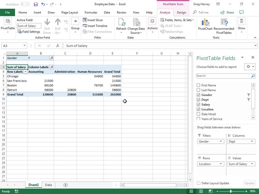 Excel pivot table