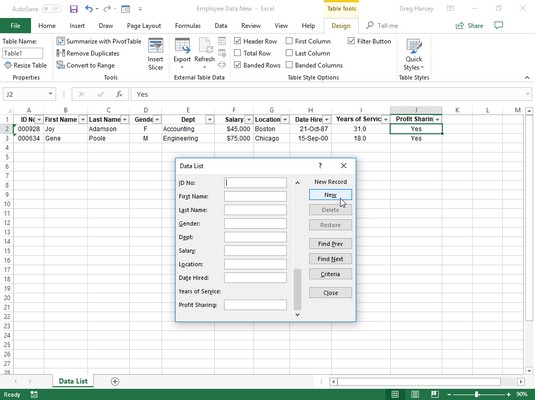 new record in the Excel data form