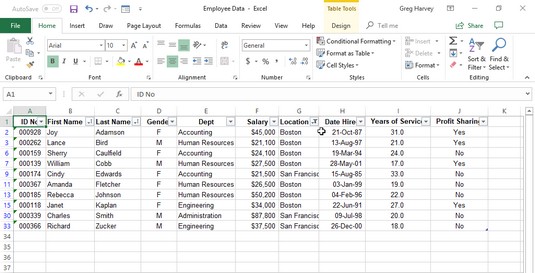 Excel filters