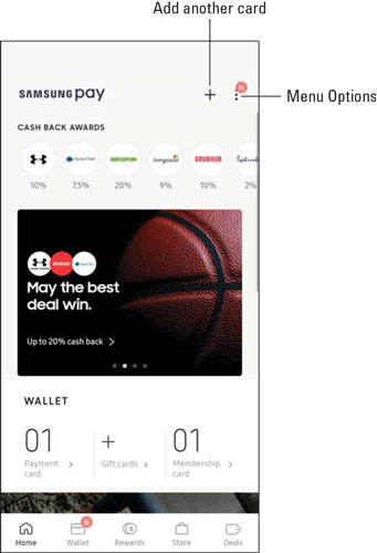 Samsung Pay home