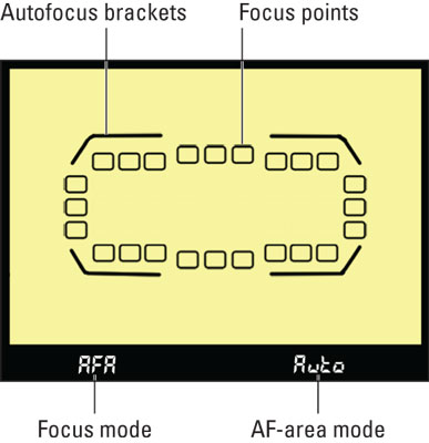 nikond-viewfinder