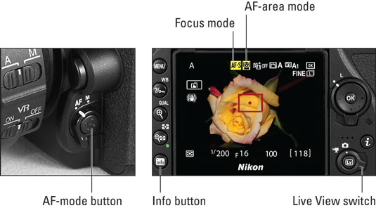 nikond-focus-mode