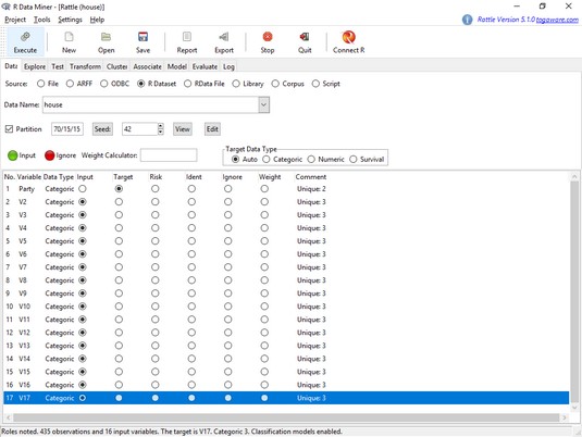 rattle data tab R