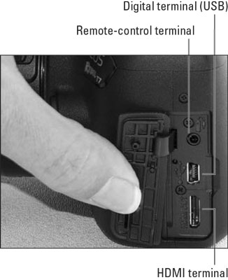 rebel-t7-front-inputs