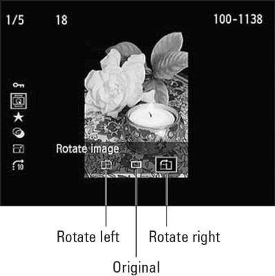 rebel-t7-rotate-images