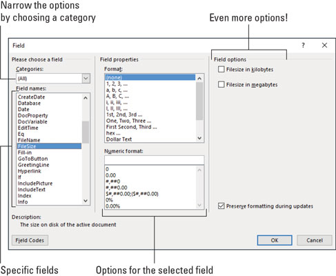 word2019-Field-dialog