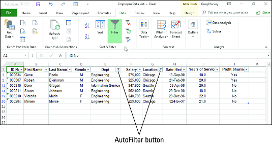 Excel 2019 filtering