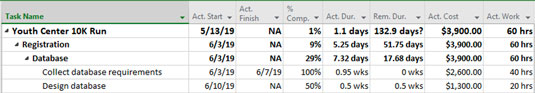 Project tracking sheet