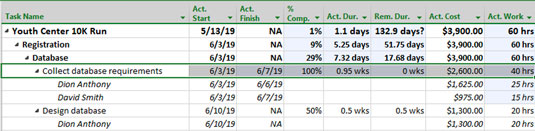 Project Tracking table view