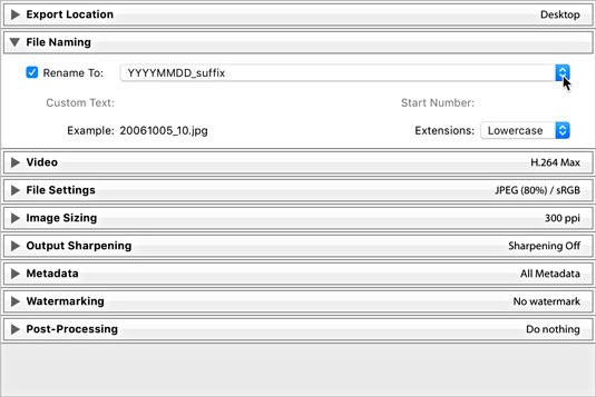 Lightroom Classic File Naming panel