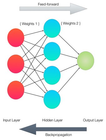 neural network