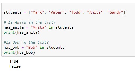 Seeing whether an item is in a Python list