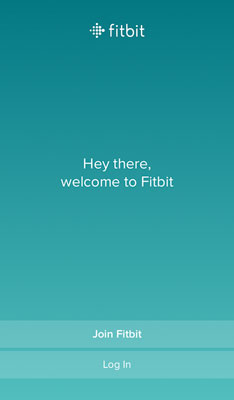 Fitbit initial screen