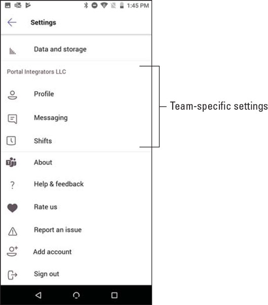 Teams team settings