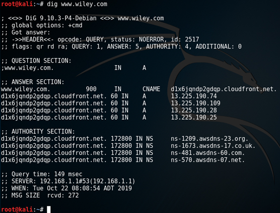 Using dig to query DNS.