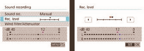 Canon camera audio recording level