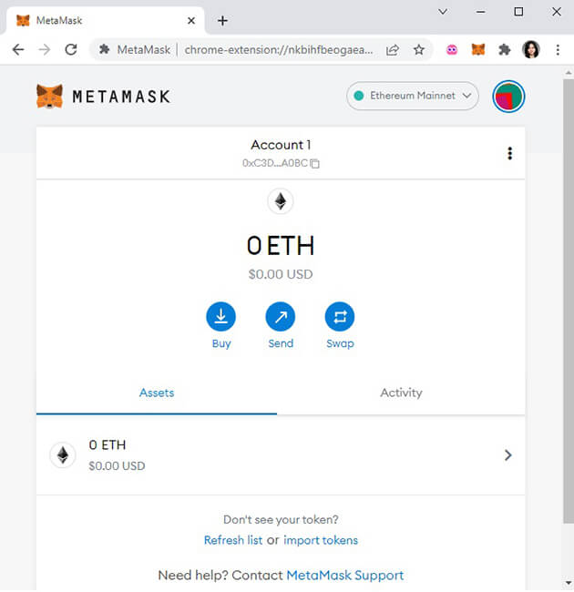 Screenshot showing a newly initiated MetaMask wallet