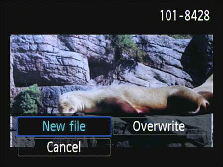 Tap the Save File icon.
