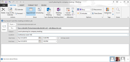 Type the subject of the meeting in the Subject box, and add details about where the meeting will be held in the Location box.
