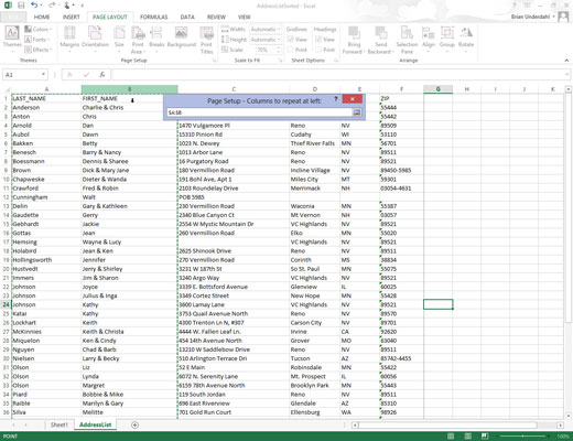 Select the Columns to Repeat at Left text box and then drag through the range of columns with the information you want to appear at the left edge of each page of the printed report in the worksheet below.