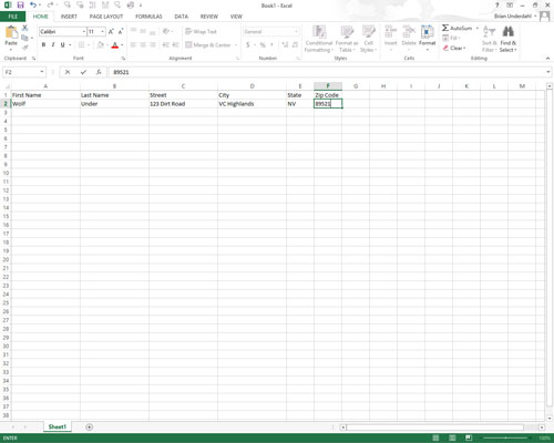 Make the first entries in the appropriate columns of the row immediately following the one containing the field names.