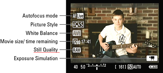 Use the Menu button to display the Movie menu and then select the desired movie quality setting under Movie Rec. Size.