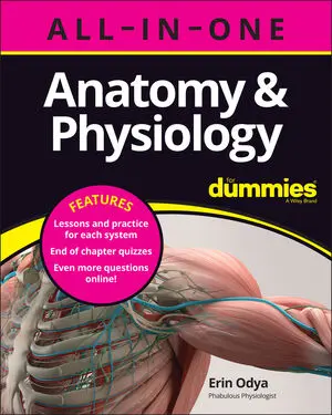 Anatomy & Physiology All-in-One For Dummies book cover