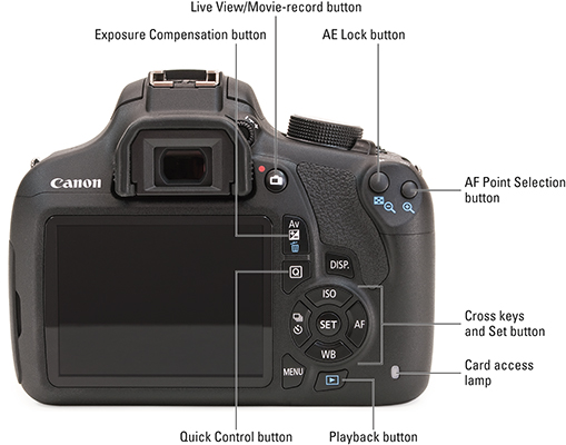 Canon EOS Rebel T5/1200 D image that shows location of the back of camera controls: exposure compensation button, live view/movie-record button, AE lock button, AF point selection button, cross keys and set button, card access lamp, quick control button, playback button