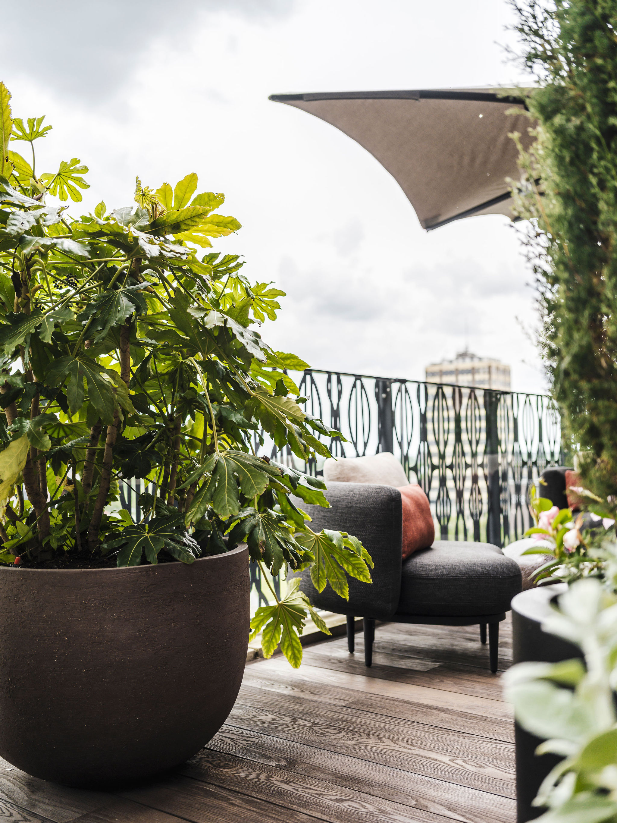 Beplanting op duurzaam dakterras in Rotterdam