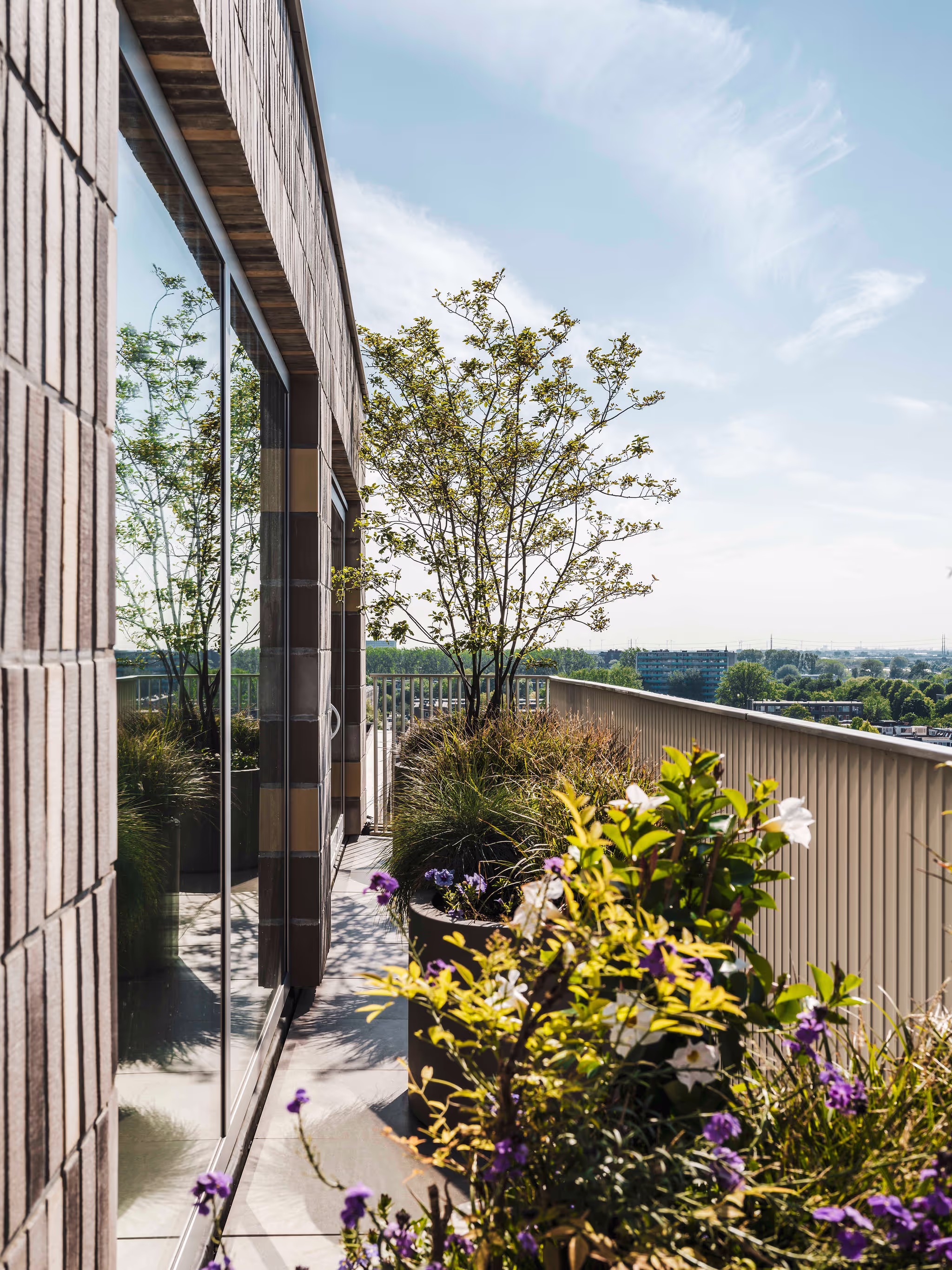 Beplanting op duurzaam dakterras in Delft