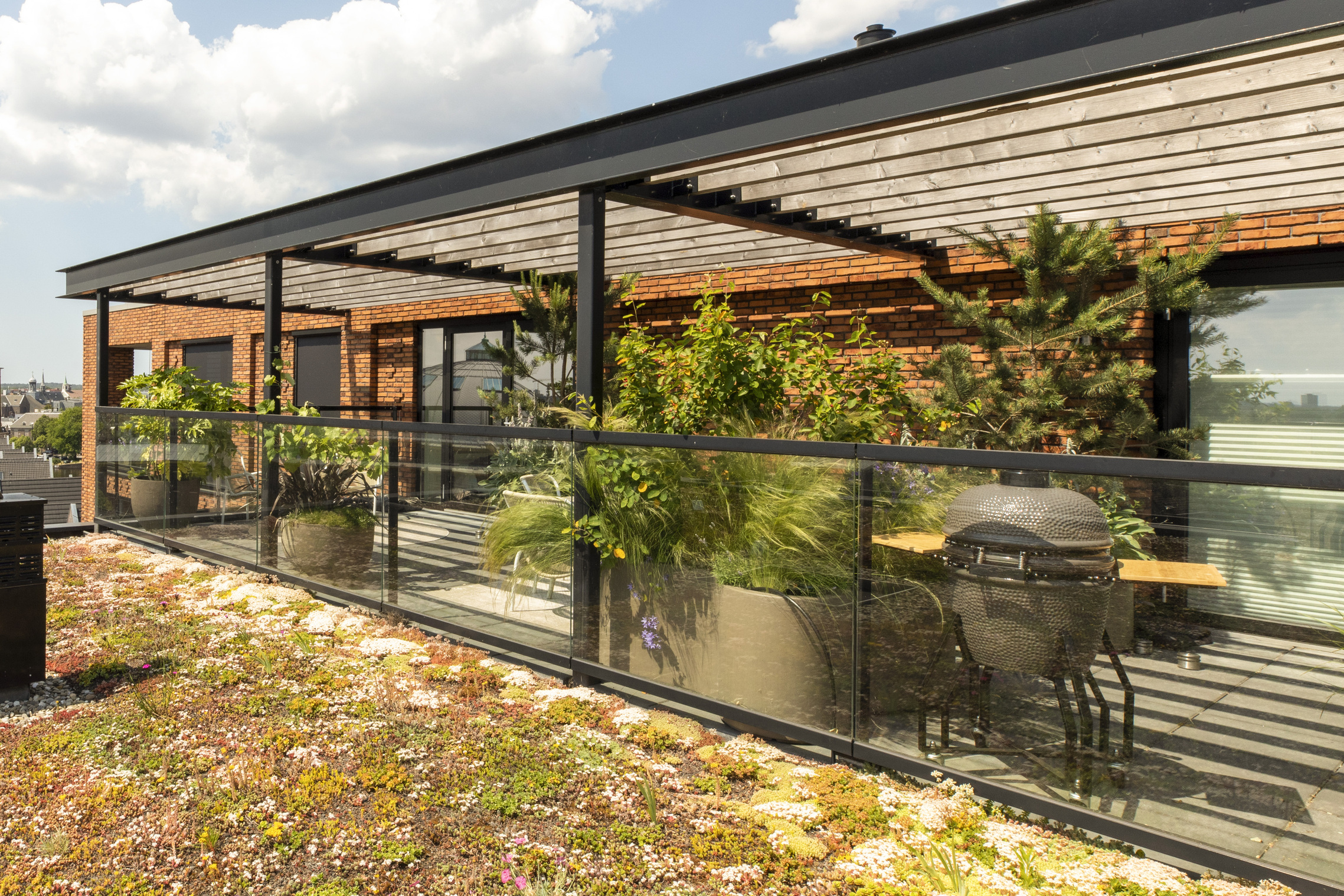 Beplanting op duurzaam dakterras in Haarlem