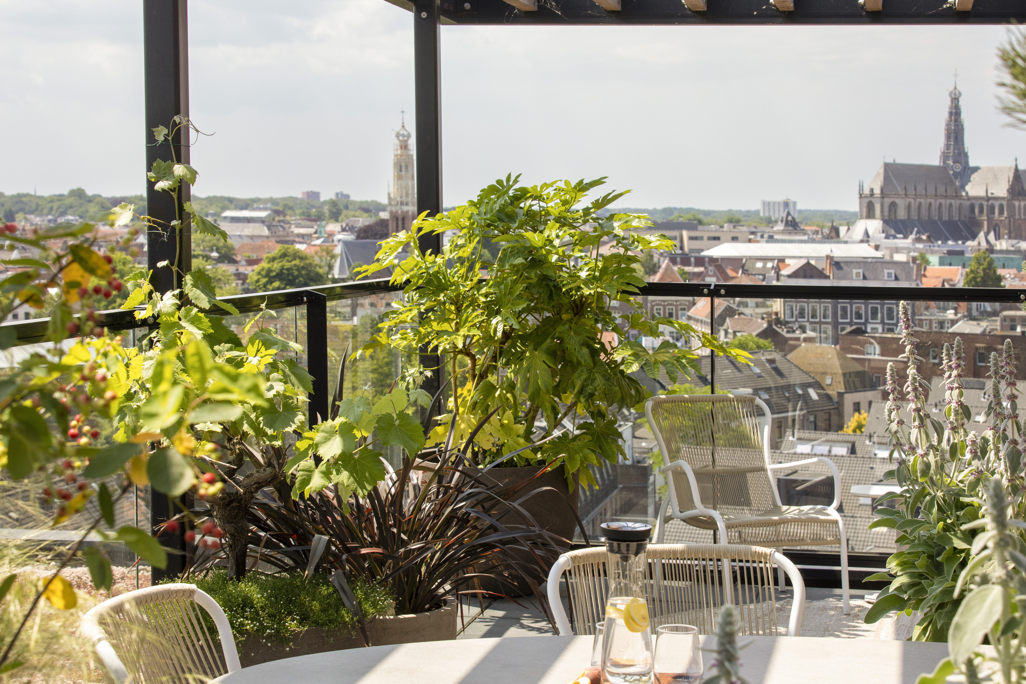 Beplanting op duurzaam dakterras in Haarlem