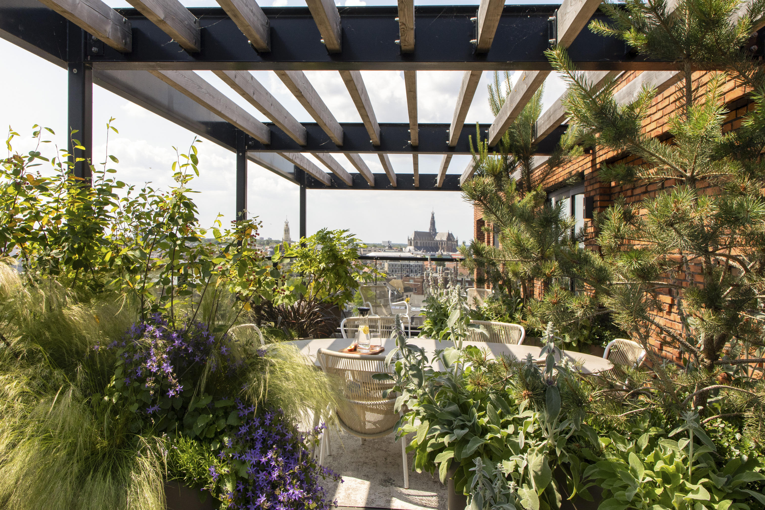 Beplanting op duurzaam dakterras in Delft