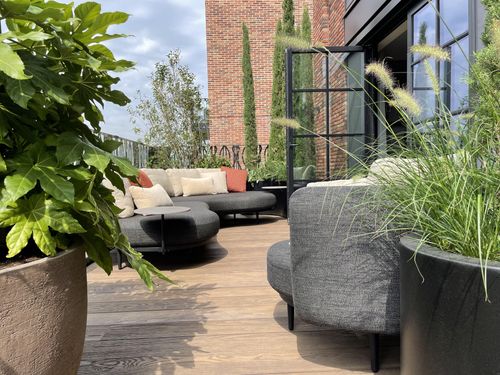 Organix lounge Royal Botania