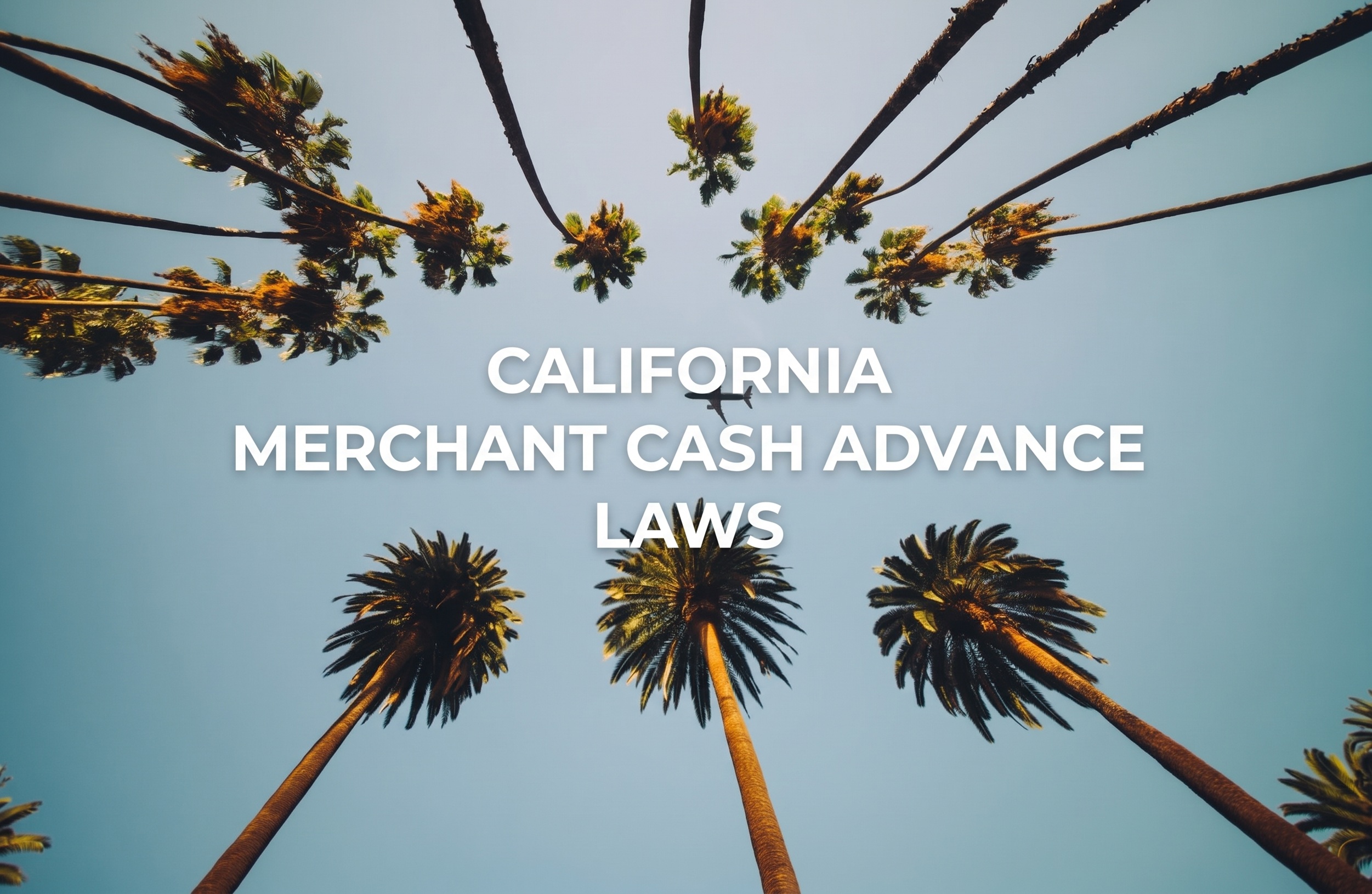 Palm trees against a blue sky with the title California Merchant Cash Advance Laws.