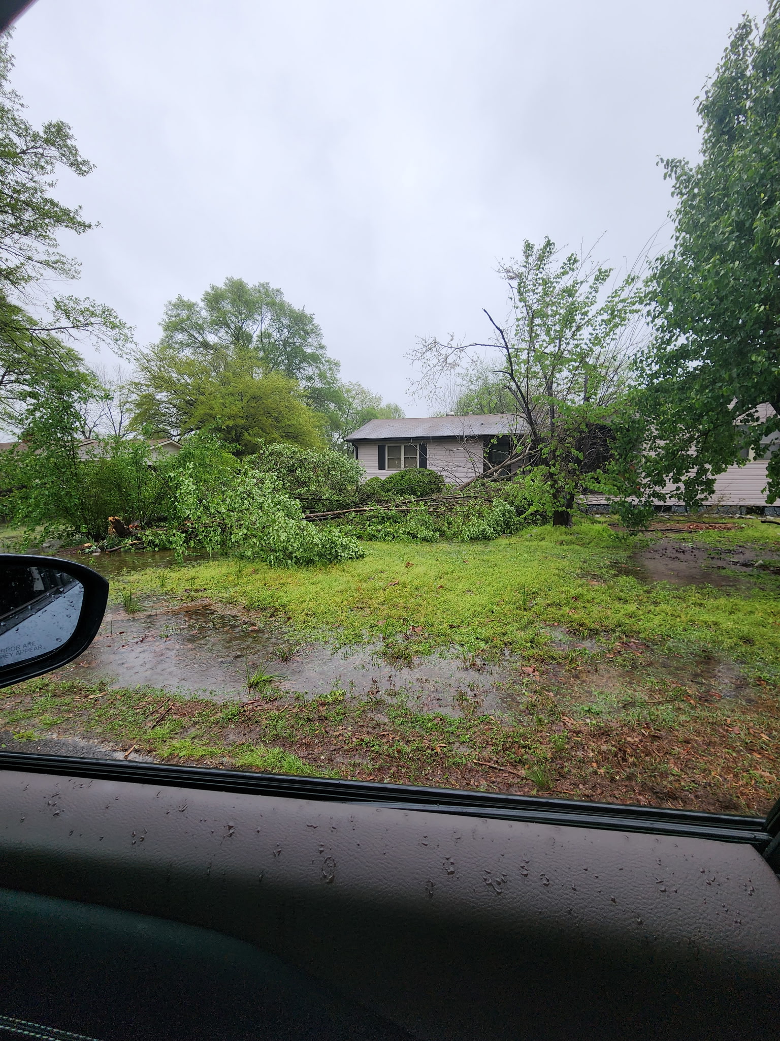 Storm-damaged tree fallen in front yard near house after heavy winds