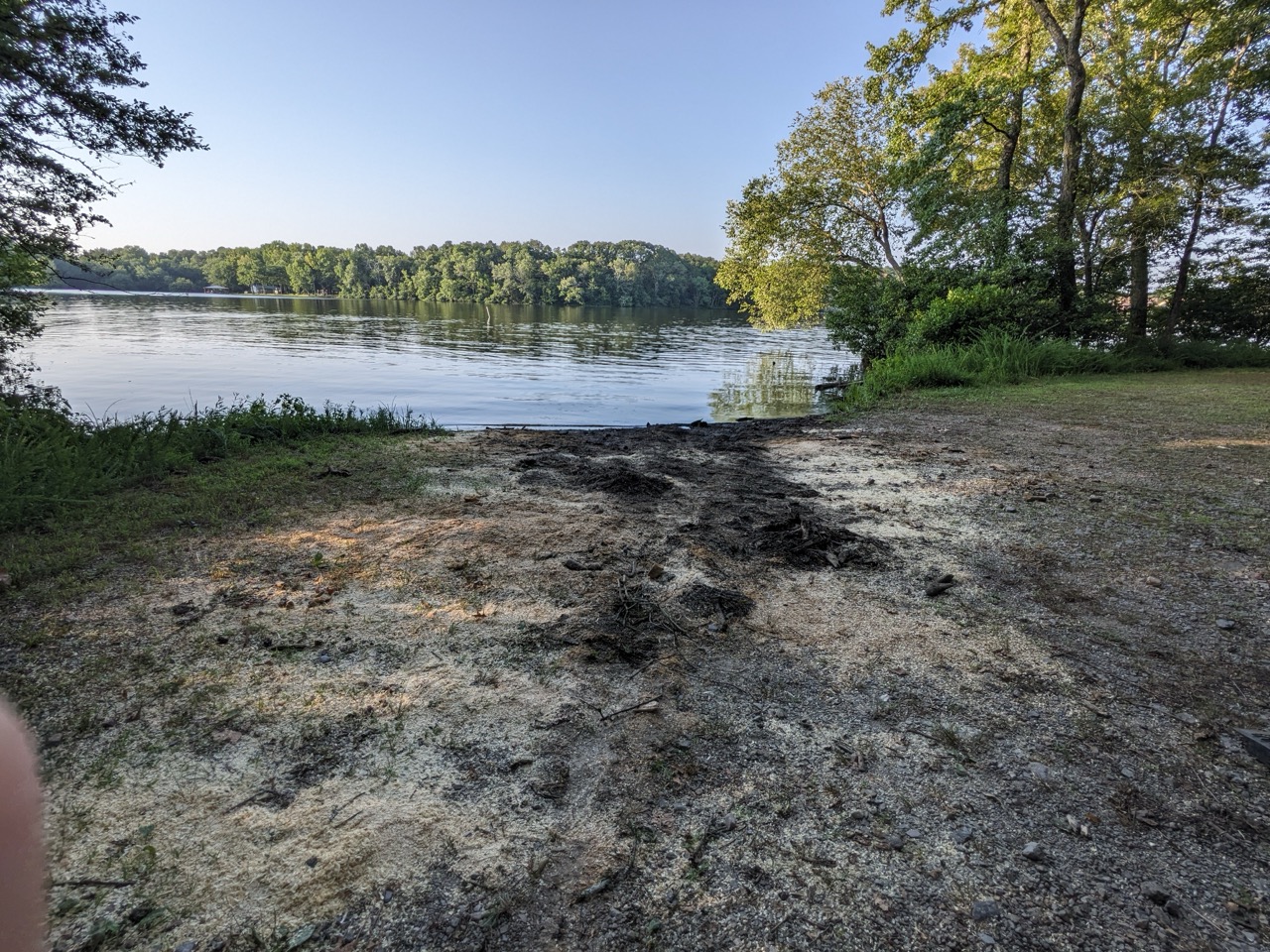 Cleared tree removal site with lake view in Hot Springs Village, Arkansas