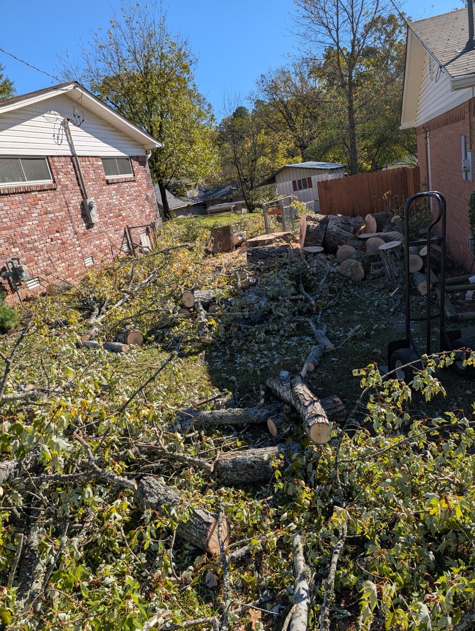 Storm-damaged tree branches piled in side yard near home in Central Arkansas