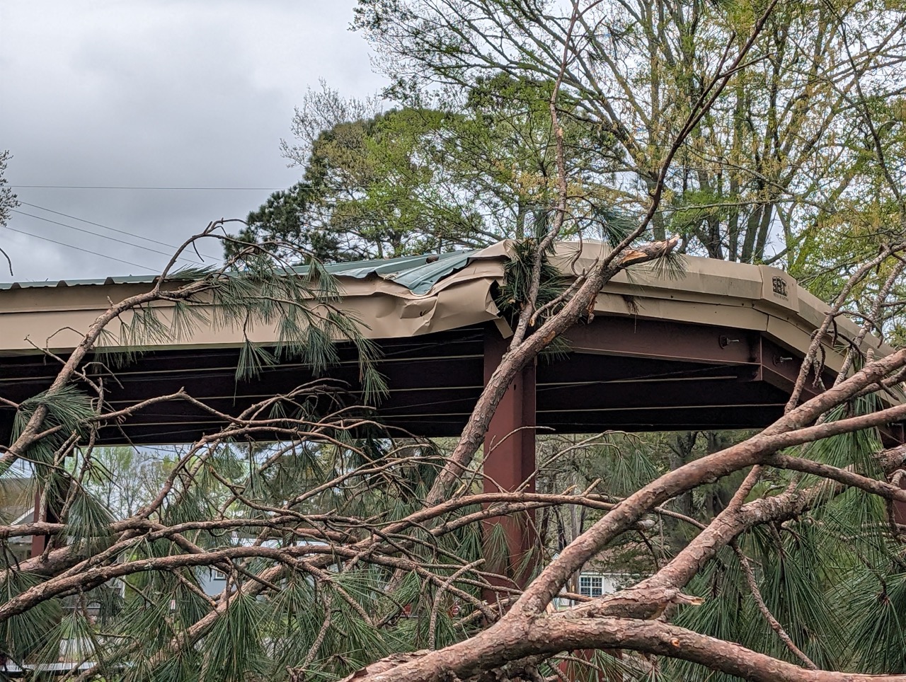 Storm damage cause by tree branch landing on roof