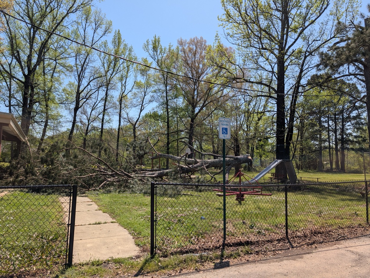 Fallen trees and storm debris behind black metal fence near public park