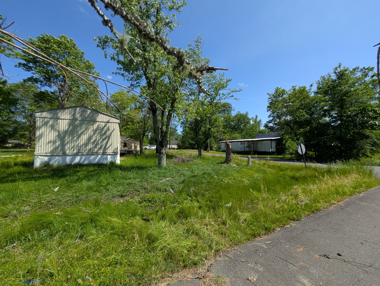 Large storm-damaged tree with split trunk next to mobile home in Arkansas neighborhood