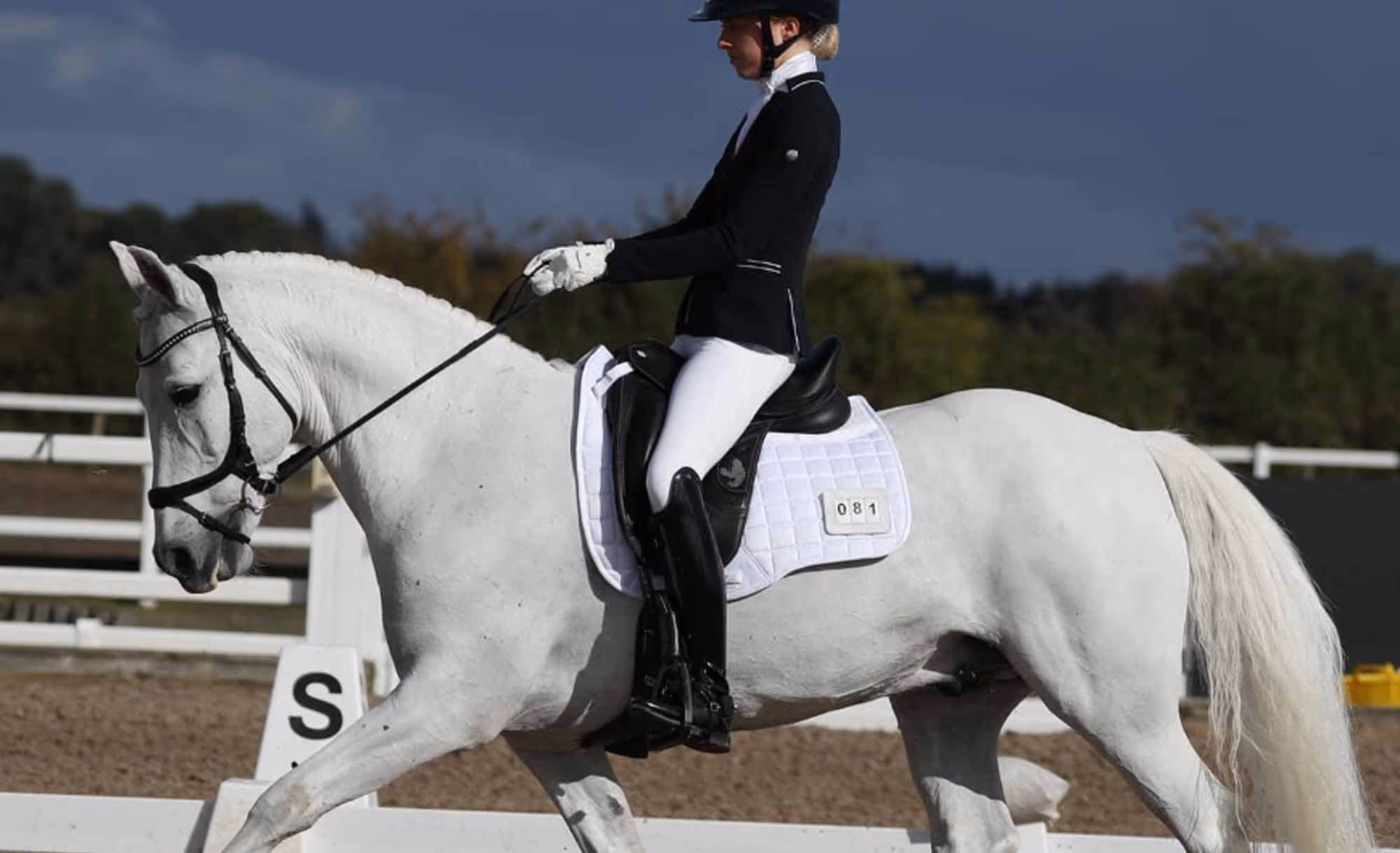 everyday-vitamins-&-minerals-Norvite-Equine nutrition