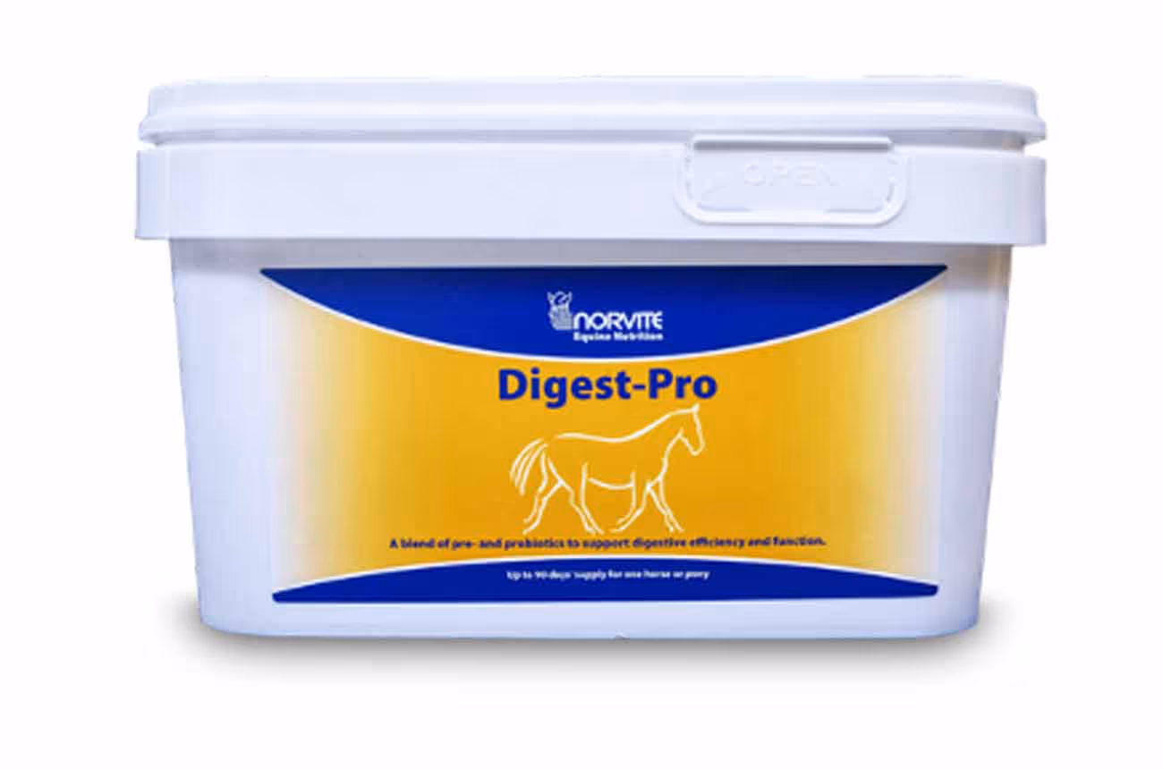 Digest-Pro-Norvite-Equine nutrition