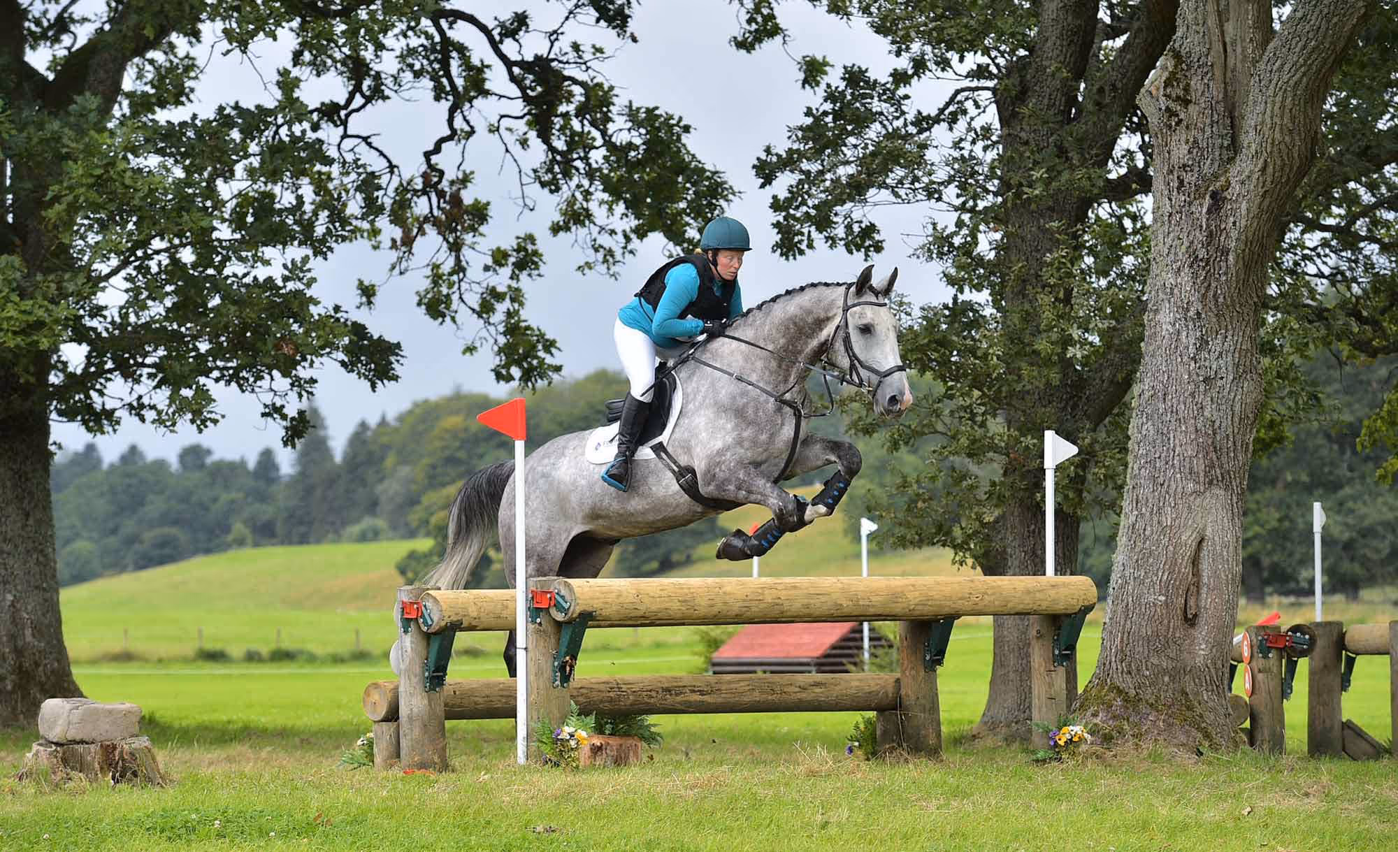 Customer-Reviews-Norvite-Equine Nutrition