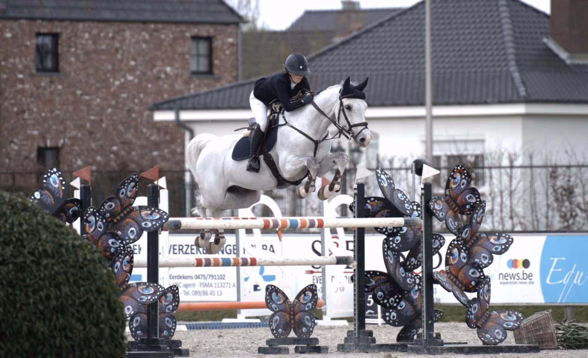 Specialist-Advice-Norvite-Equine Nutrition